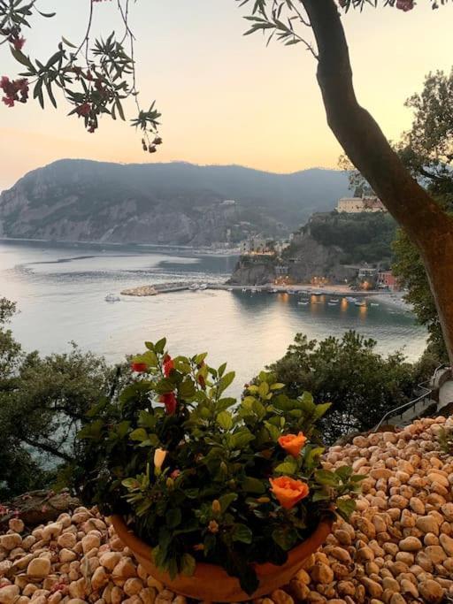 Apartment Historic Downtown By The Sea With King Bed Monterosso al Mare